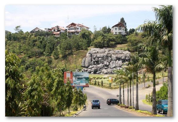 moeliono2.jpg moeliono2.jpg